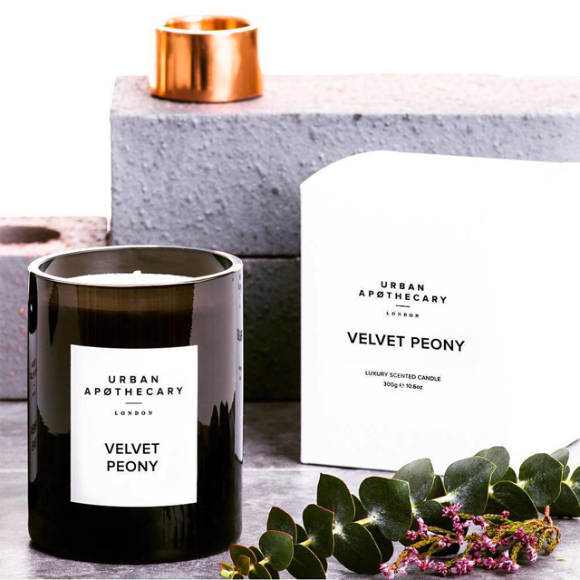 Fig Tree Luxury Candle( 300g )